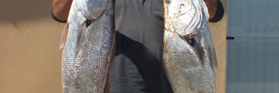 Gansbaai Birkenhead Boothengelkompetisie Gawie Krugel_1